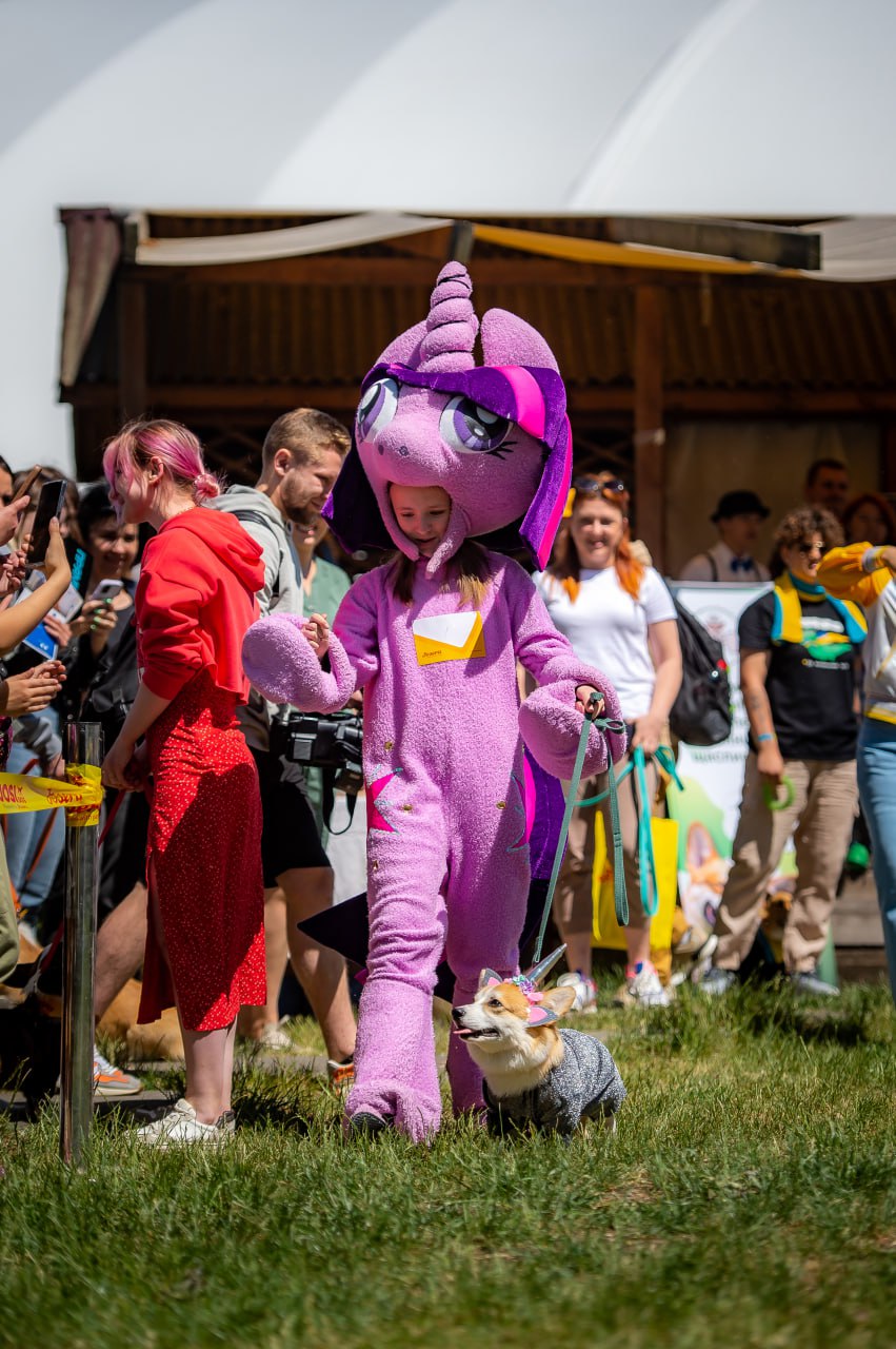 HOLY SWEETS DOG FESTIVAL: Halloween edition <span> || 05 листопада 2023 || ВДНГ