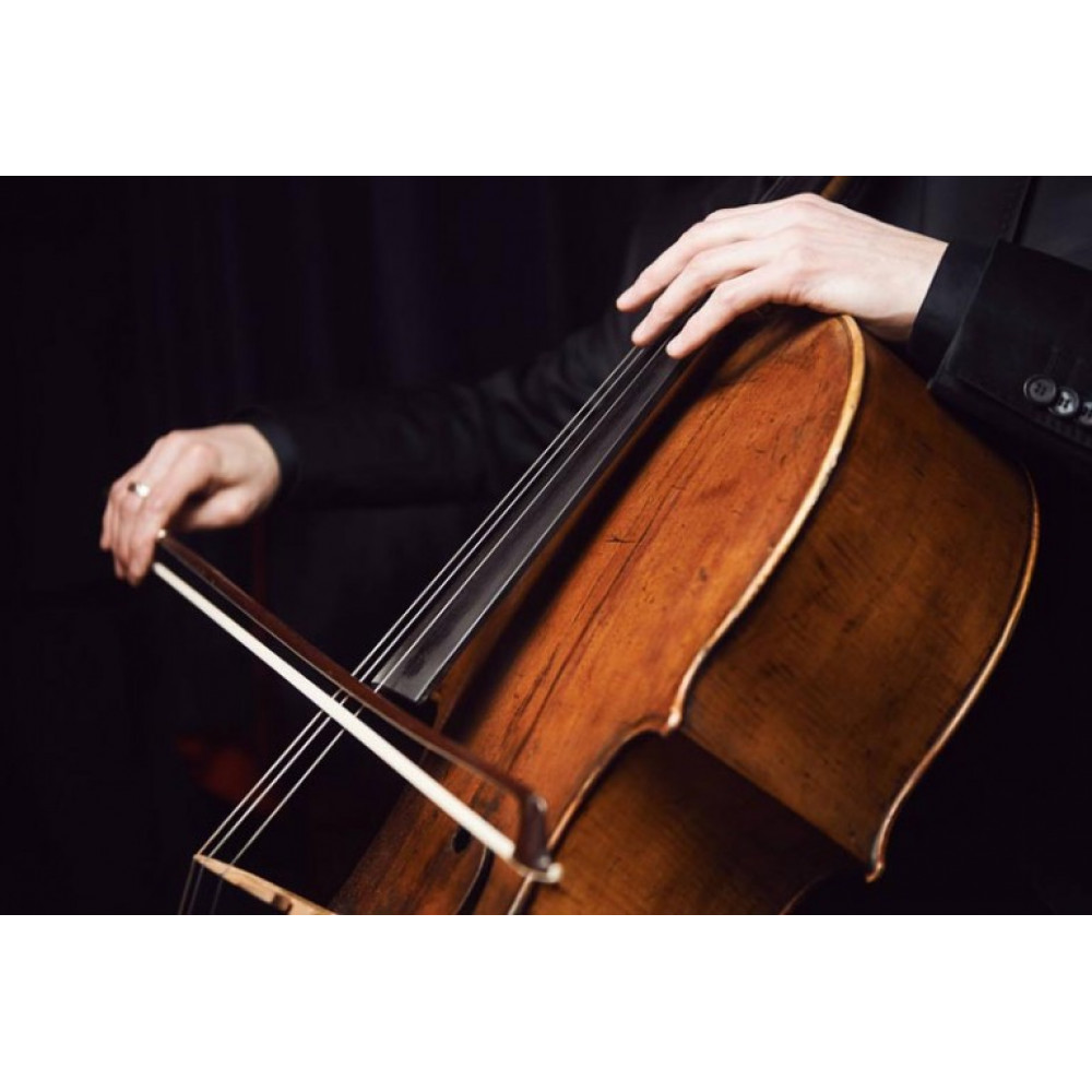 Фото №6 - Афіша Афіша Kyiv Mozart Quartet - Mozart and Brahms