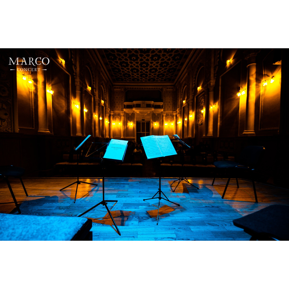 Фото №5 - Афіша Афіша Kyiv Mozart Quartet — Mozart & Lyatoshinsky