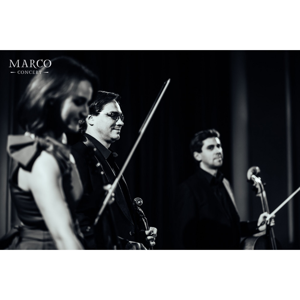 Фото №5 - Афіша Афіша Kyiv Mozart Quartet — Mozart & Lyatoshinsky