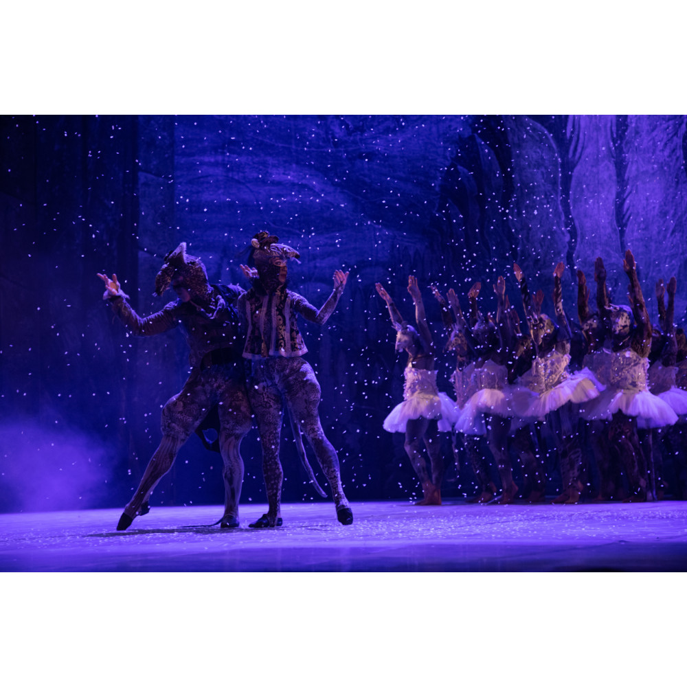 Фото №10 - Афіша Афіша Kyiv Modern Ballet. Лускунчик. Раду Поклітару