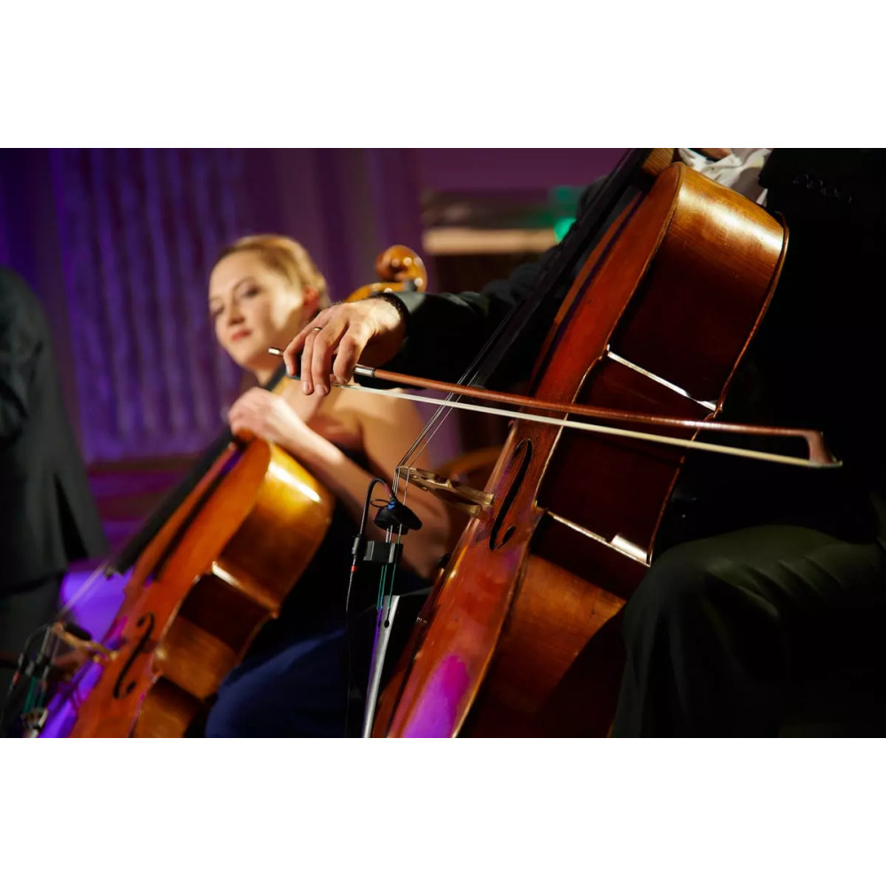 Фото №7 - Афіша Афіша Fairmont Classic — Astor Piazzolla
