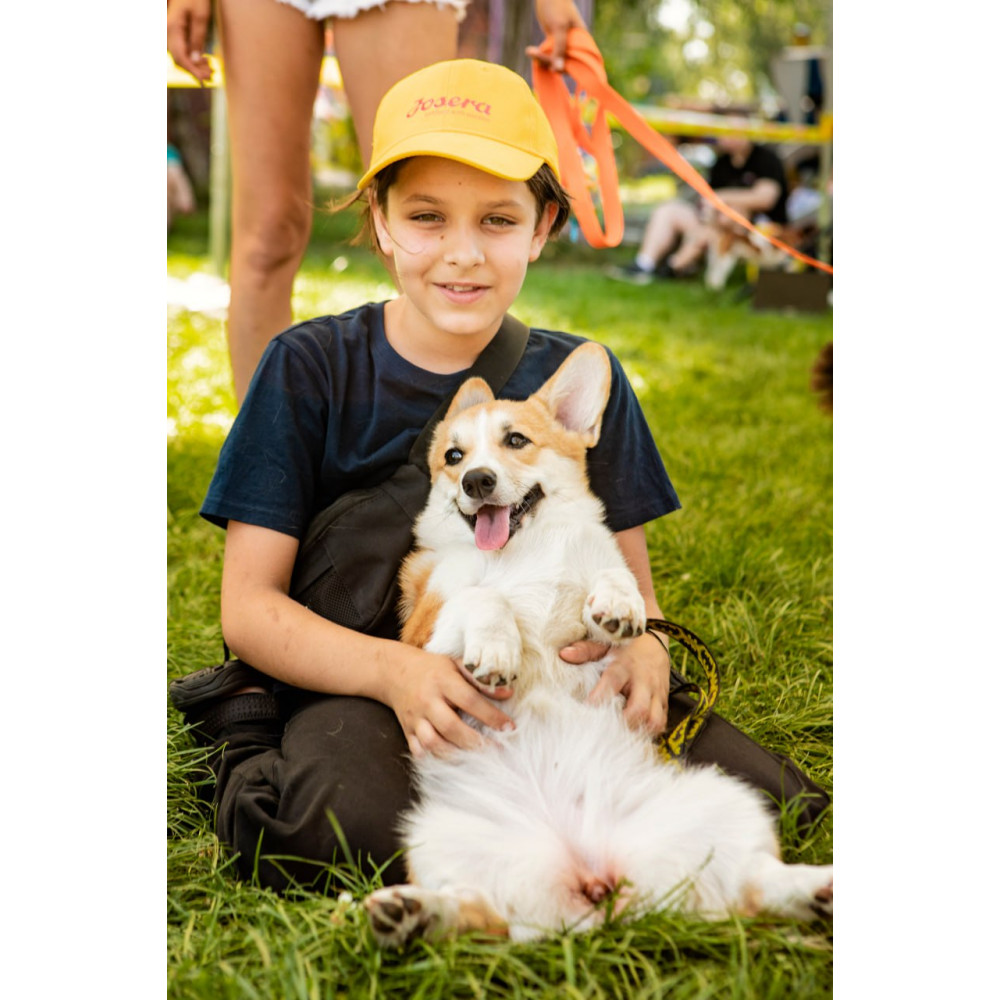 Фото №10 - Афіша Афіша HOLY SWEETS DOG FESTIVAL: Halloween edition