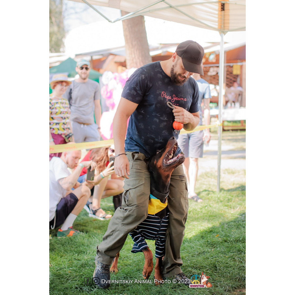 Фото №10 - Афіша Афіша HOLY SWEETS DOG FESTIVAL: Halloween edition
