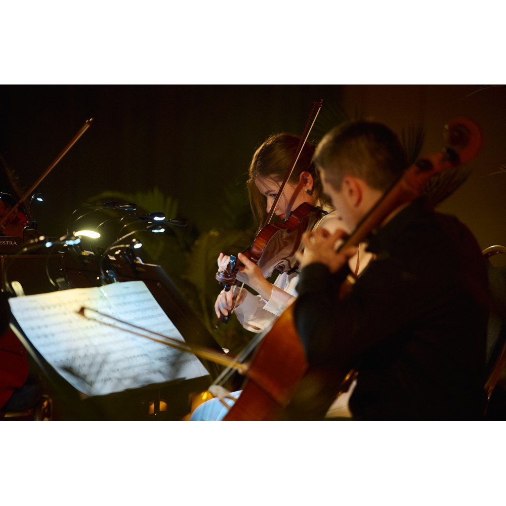 Фото №6 - Афіша Афіша Kyiv Mozart Quartet — Mendelssohn & Brahms