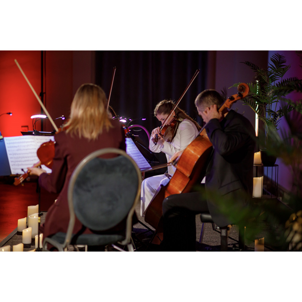 Фото №6 - Афіша Афіша Kyiv Mozart Quartet — Mendelssohn & Brahms