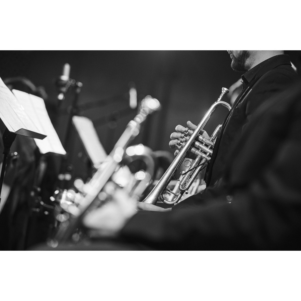Фото №9 - Афіша Афіша Aniko Dolidze BigBand – Романтика у стилі свінг