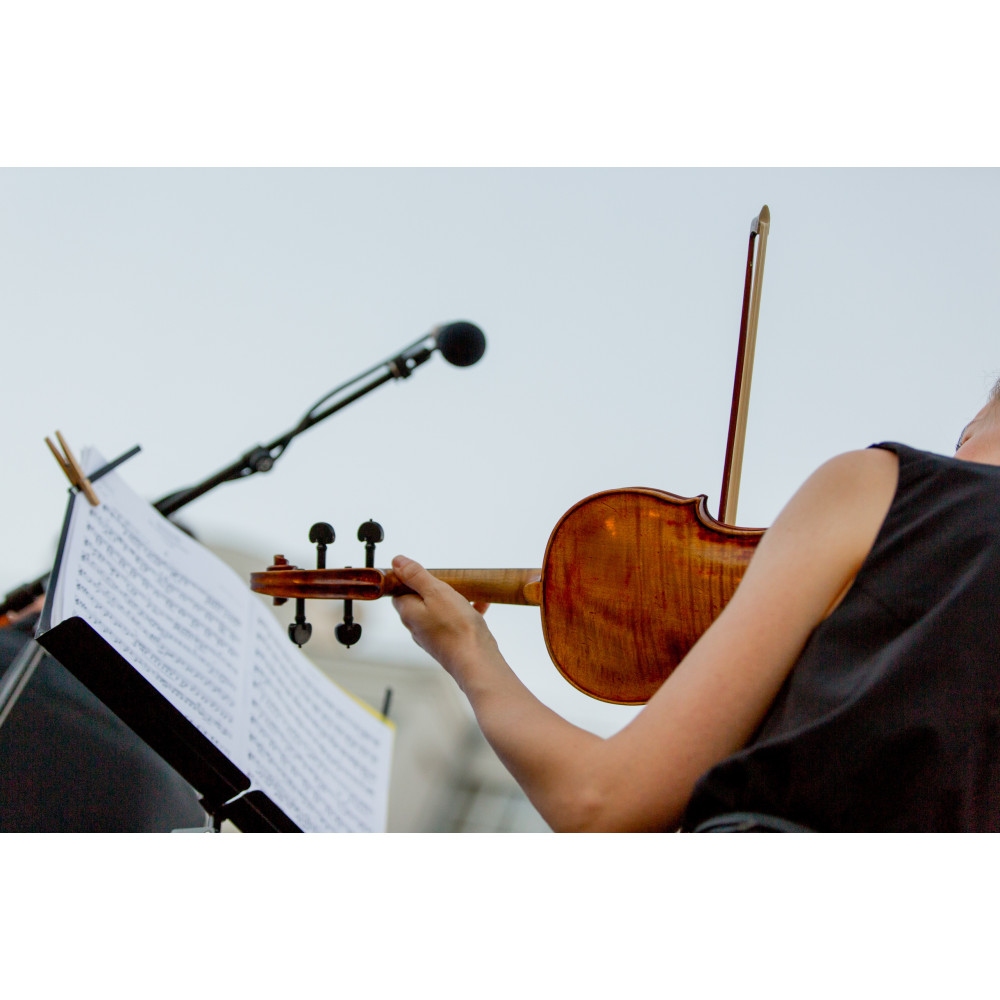 Фото №10 - АфишаАфіша Kyiv Mozart Orchestra – John Willams