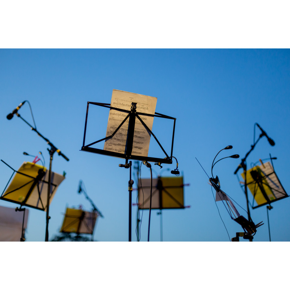 Фото №10 - АфишаАфіша Kyiv Mozart Orchestra – John Willams