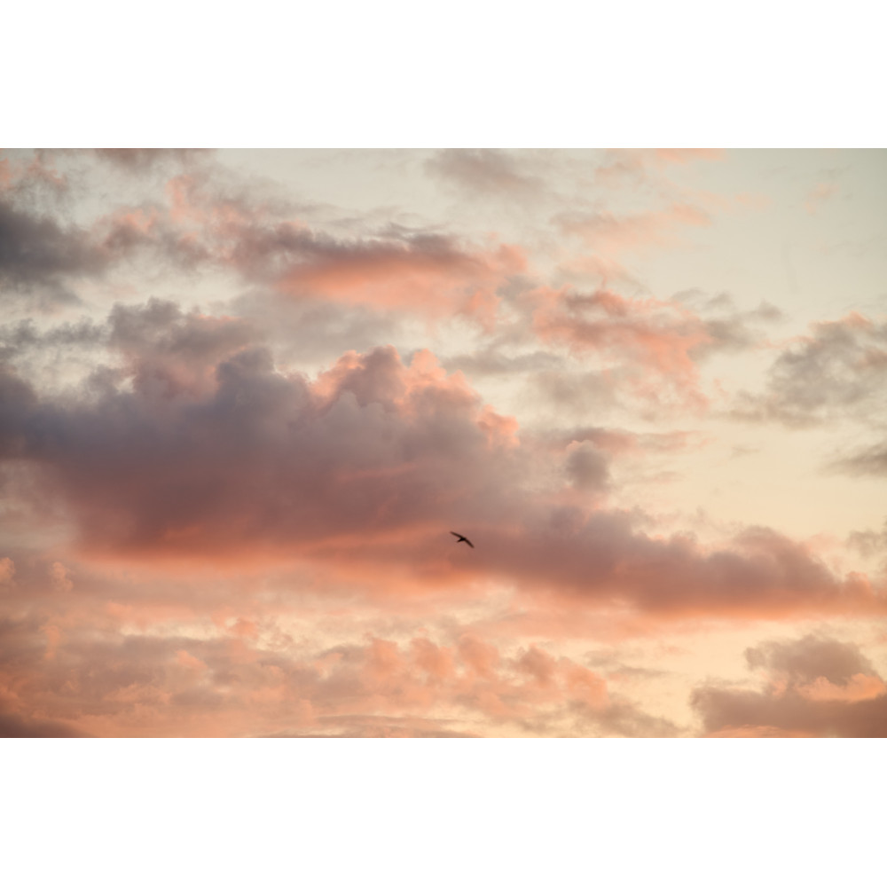 Photo №10 - Poster Poster  Kyiv Mozart Orchestra — Max Richter & Vivaldi, Kyiv - 2025-08-27 19:00:00