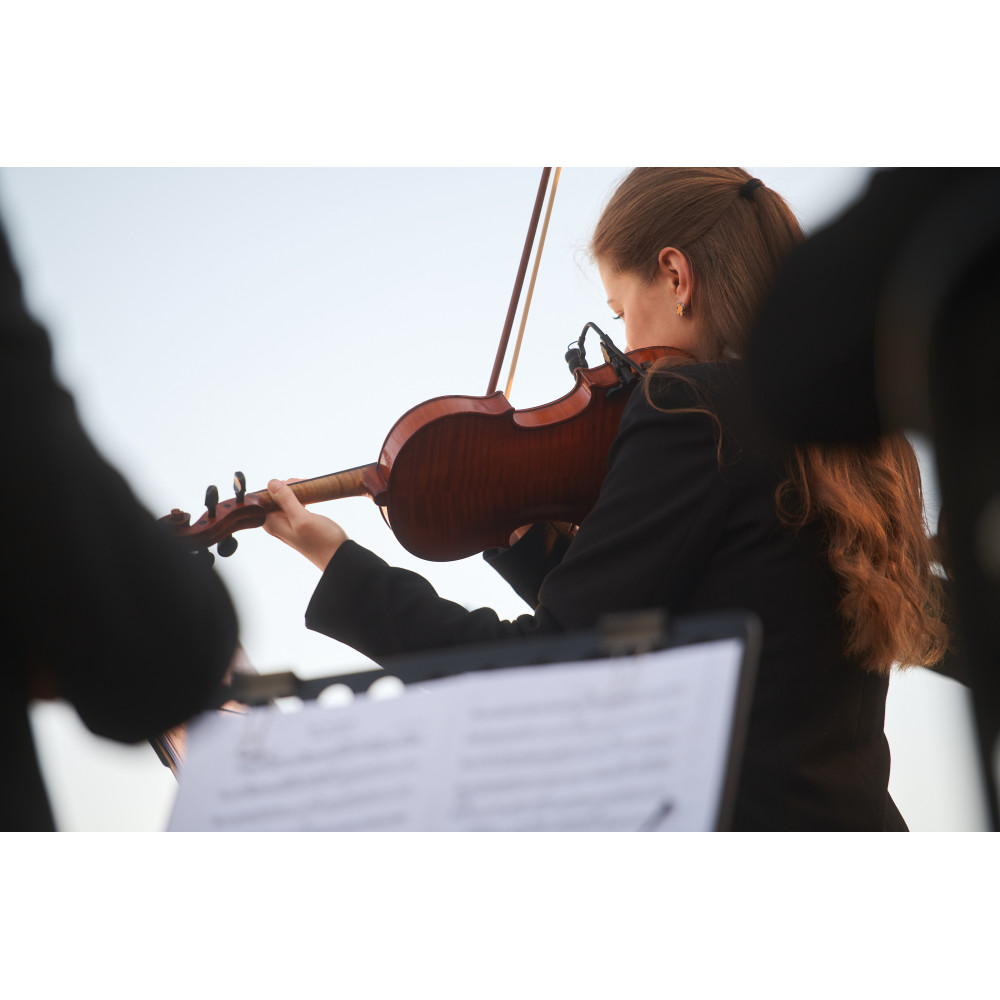 Фото №10 - Афіша Афіша BILLIE EILISH & LANA DEL REY – Kyiv Mozart Orchestra, Київ - 2026-05-28 19:00:00