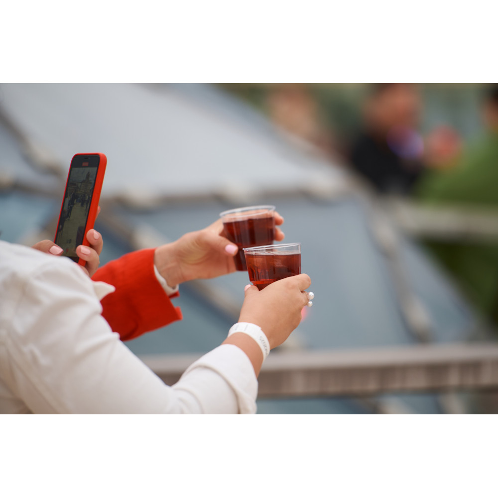 Фото №10 - Афіша Афіша BILLIE EILISH & LANA DEL REY – Kyiv Mozart Orchestra, Київ - 2026-05-28 19:00:00