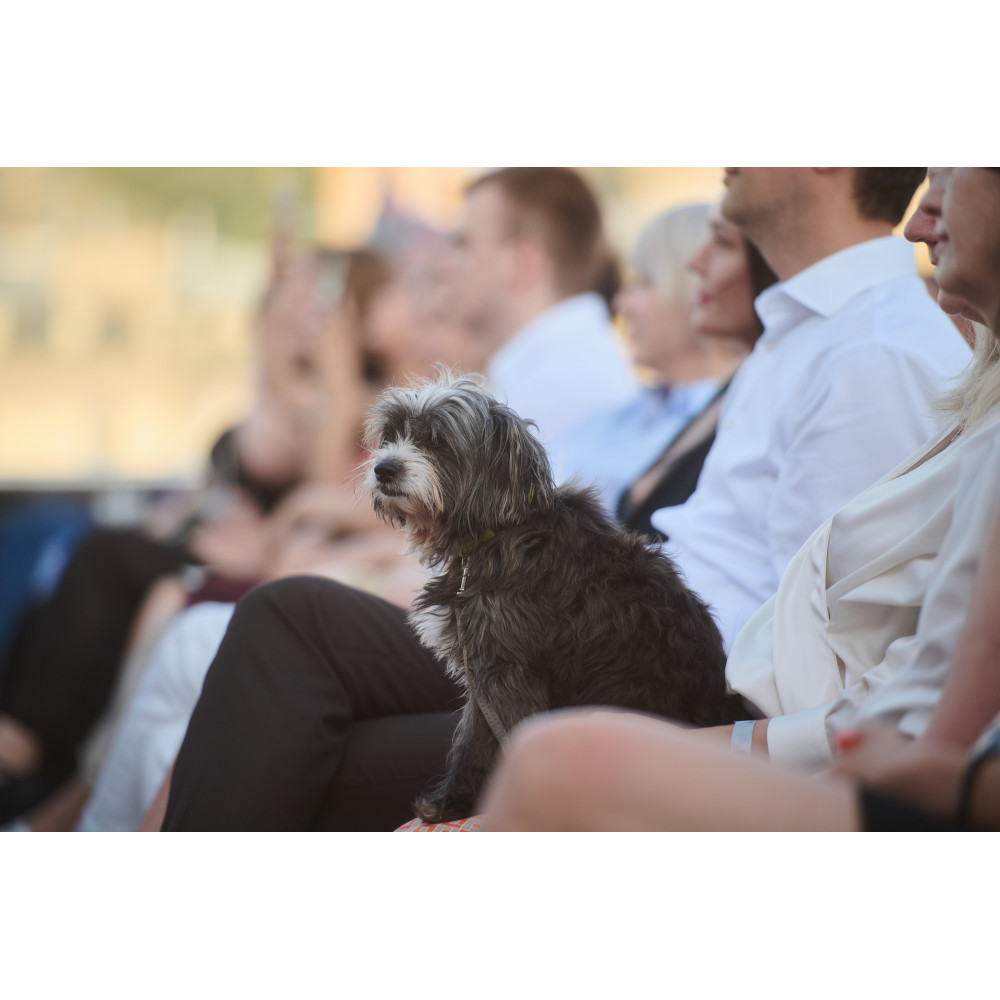 Фото №10 - Афіша Афіша HANS ZIMMER – Kyiv Mozart Orchestra, Київ - 2026-05-15 19:00:00