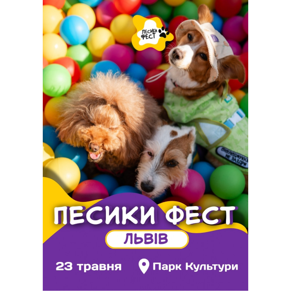 ПЕСИКИ ФЕСТ 2026 ЛЬВІВ, з попередніх подій, 3