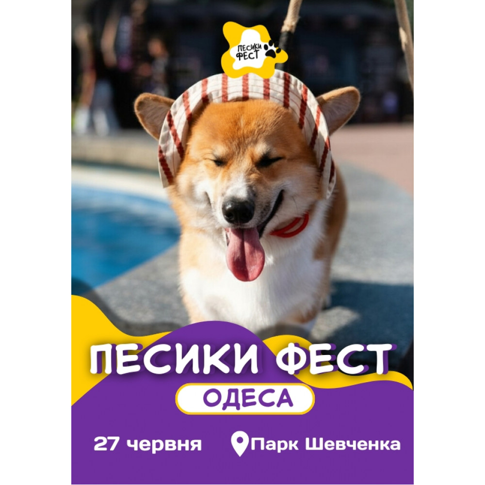 ПЕСИКИ ФЕСТ 2026 ЛЬВІВ, з попередніх подій, 1