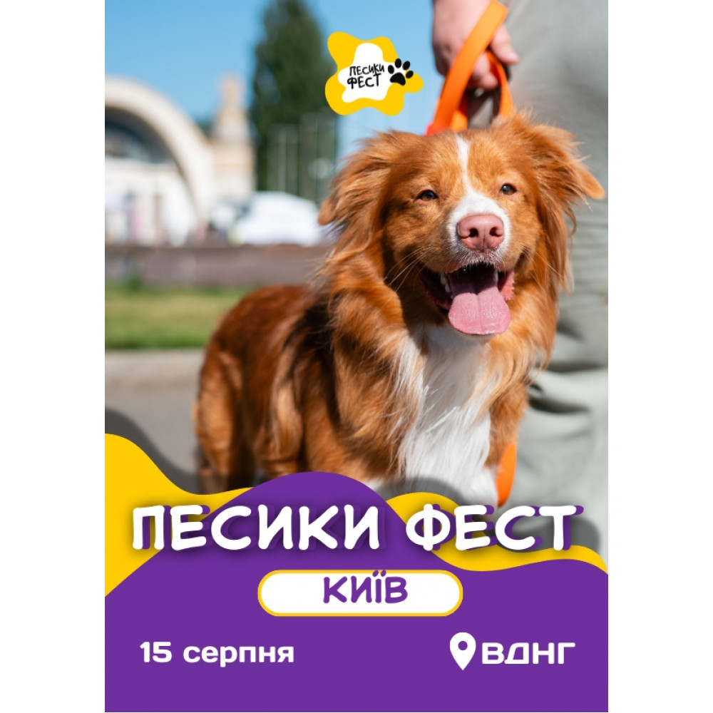 ПЕСИКИ ФЕСТ 2026 ЛЬВІВ, з попередніх подій, 2