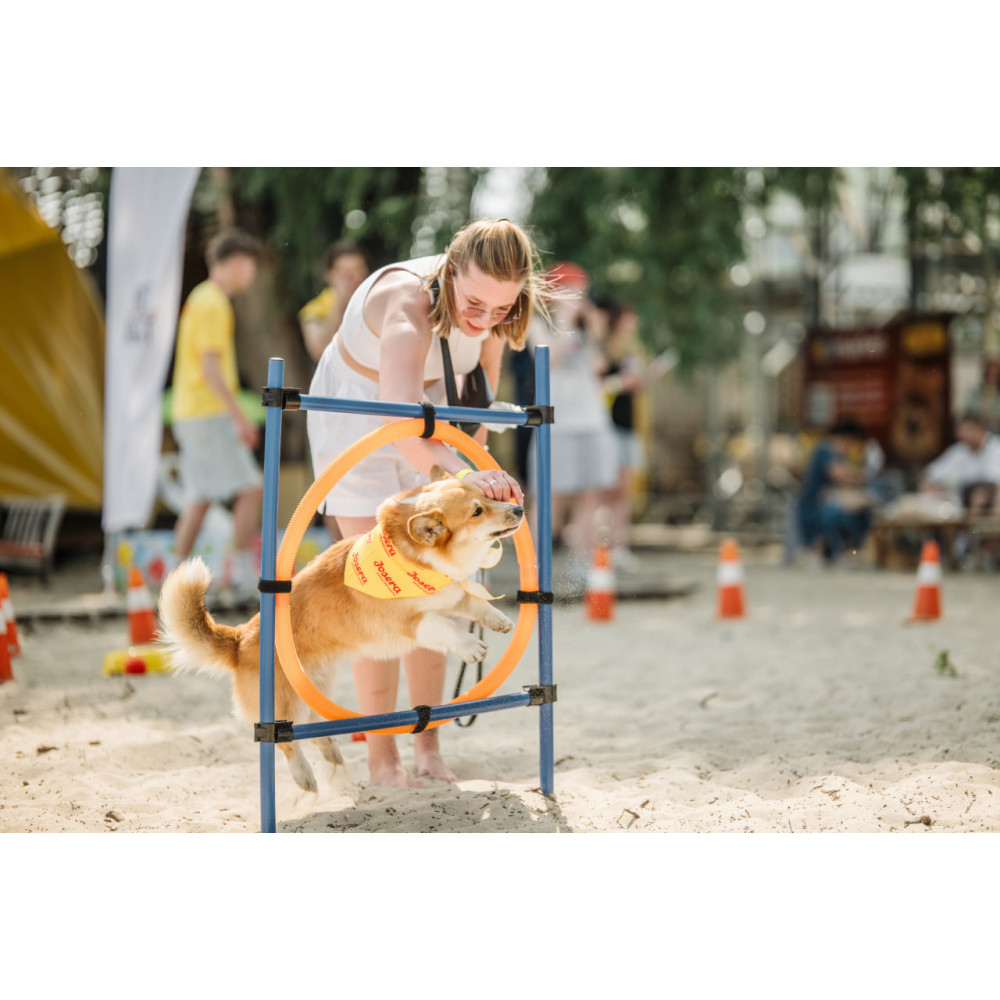 Corgi Race, з попередніх подій, 7