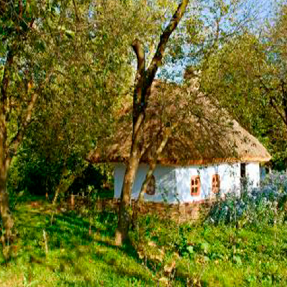 Pirogovo, from previous events, 5