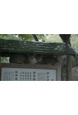 Афіша SE Коти храму Ґокоґу / The Cats of the Gokogu Shrine, Київ - 2024-11-03 15:00:00