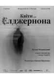Афіша Моновистава "Квіти для Елджернона", Житомир‎ - 2026-02-07 18:00:00