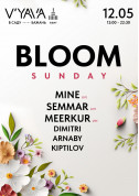 Concert tickets Bloom Sunday на V’YAVA у Саду Бажань Електронна музика genre for may 2024 - poster ticketsbox.com
