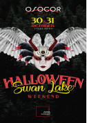 Club tickets «Swan Lake. True story» - poster ticketsbox.com