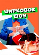 білет на Циркове шоу місто Київ - Шоу в жанрі Сімейний - ticketsbox.com