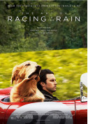 Cinema tickets The Art of Racing in the Rain (original version)* (PREMIERE) - poster ticketsbox.com