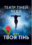 Афіша Театр теней "TEULIS"
