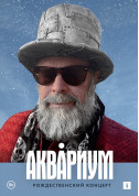 Афіша БОРИС ГРЕБЕНЩИКОВ