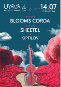 Афіша BLOOMS CORDA | SHEETEL на UYAVA