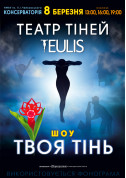 білет на Театр тіней TEULIS місто Київ - Шоу - ticketsbox.com