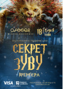 ПРЕМ'ЄРА: Льодове Шоу «В ПОШУКАХ ЗУВУ» tickets in Kyiv city - Show - ticketsbox.com