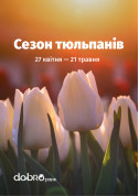 білет на виставку Сезон тюльпанів у Добропарку - афіша ticketsbox.com