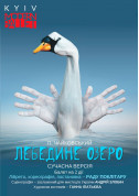 білет на Kyiv Modern Ballet. Лебединое озеро. Раду Поклитару - афіша ticketsbox.com