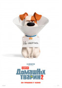 білет на Секрети домашніх тварин 2 3D  місто Київ - кіно в жанрі Анімація - ticketsbox.com