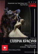 Show tickets Kyiv Modern Ballet. Спящая красавица. Раду Поклитару - poster ticketsbox.com