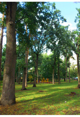 Афіша Похід до Святошинського лісу, Київ - 2019-08-26 11:00:00