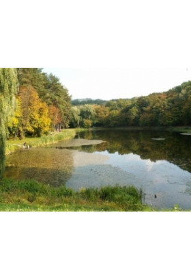 Poster  Голосеевский лес, Kyiv - 2019-08-26 11:00:00