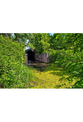 Poster  Велоэкскурсия ''Лыска и Жучка'', Kyiv - 2019-06-02 09:30:00