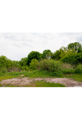 Poster  Эко-прогулка со сбором мусора: Щекавица, Kyiv - 2019-09-07 16:00:00