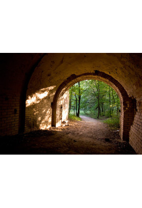 Poster  Эко-прогулка со сбором мусора: Лысогорский форт и Лыбедь, Kyiv - 2019-08-31 11:00:00