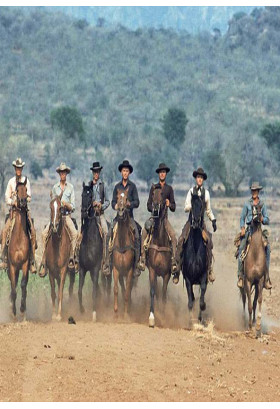 100 Чудова сімка / The Magnificent Seven Київ 2020