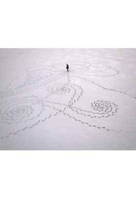 Афіша Фрагменти невидимого: міжнародна програма містичного та, місцями, моторошного короткого метру