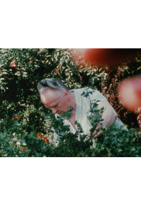 Афіша Спеціальний показ фільму Спогади про подорож до Литви (Йонас Мекас, 1972), Івано-Франківськ‎ - 2024-09-26 17:00:00