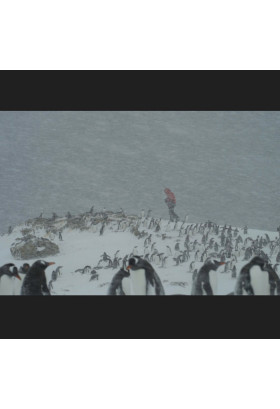 UAP Антарктида: Щоденники війни / Antarctica: War Diaries Київ 2024