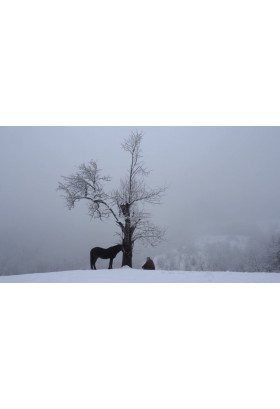 Афіша DC У двері мого дому постукає хто / At the Door of the House, Who Will Come Knocking, Київ - 2025-10-27 15:45:00