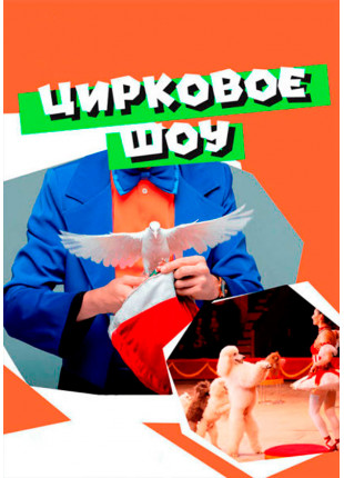Фото Циркове шоу Афіша Циркове шоу