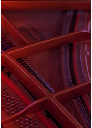 Фото Fairmont Classic — Schumann & Dvorak Афіша Fairmont Classic — Schumann & Dvorak
