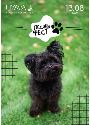 Фото Песики Фест Афіша Песики Фест